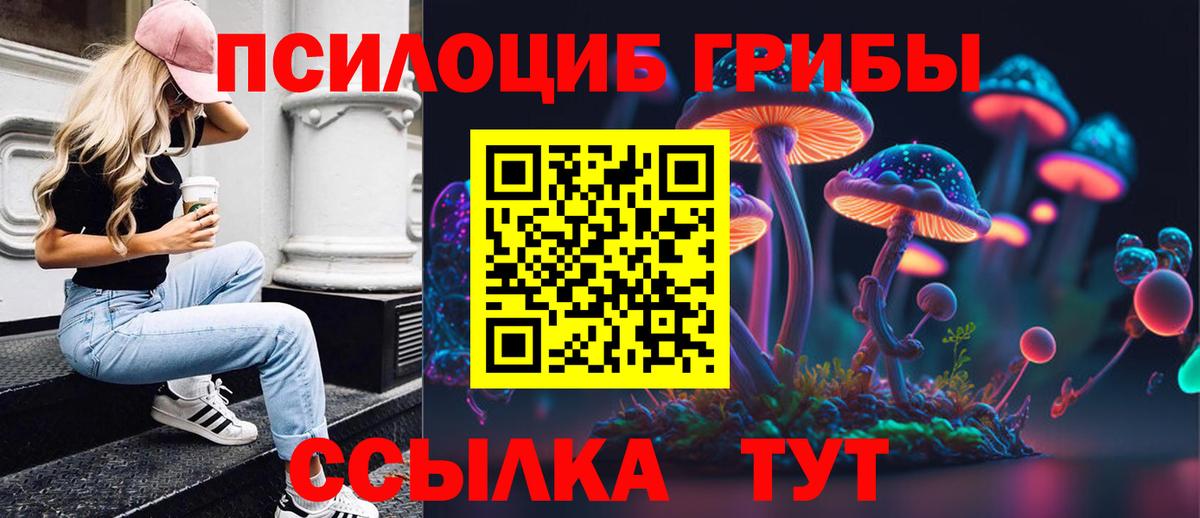 Краснознаменск  Псилоцибиновые грибы Psilocybine cubensis  Вход с VPN 