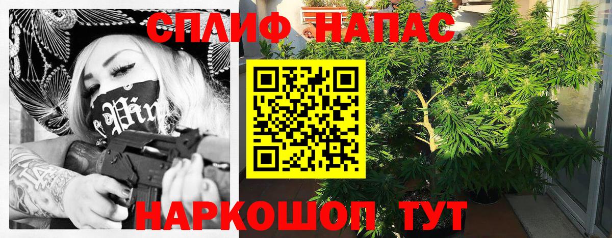 ГАШ Краснознаменск