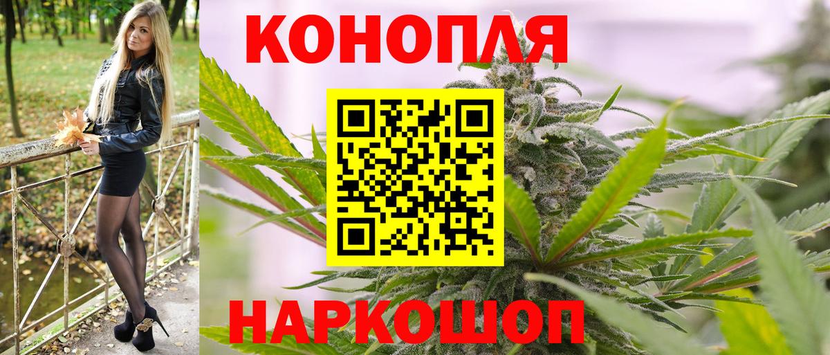 Краснознаменск  Канабис сатива  Каннабис семена  Вход с VPN 